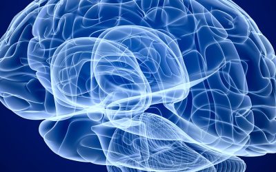 Estudios que identifican la base genética del autismo